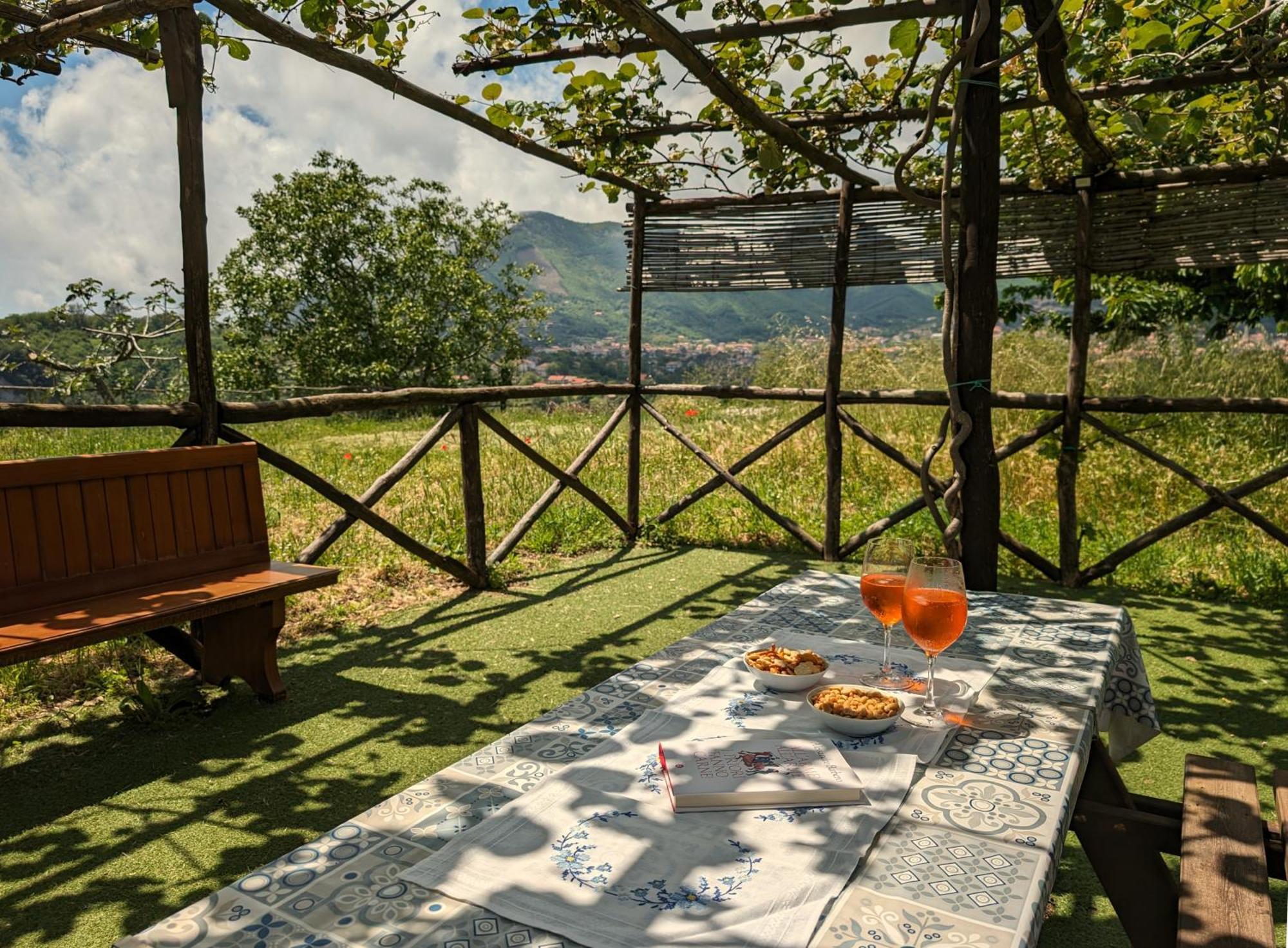 Louis House Ad Agerola Per Amalfi Positano Pompeiヴィラ 部屋 写真