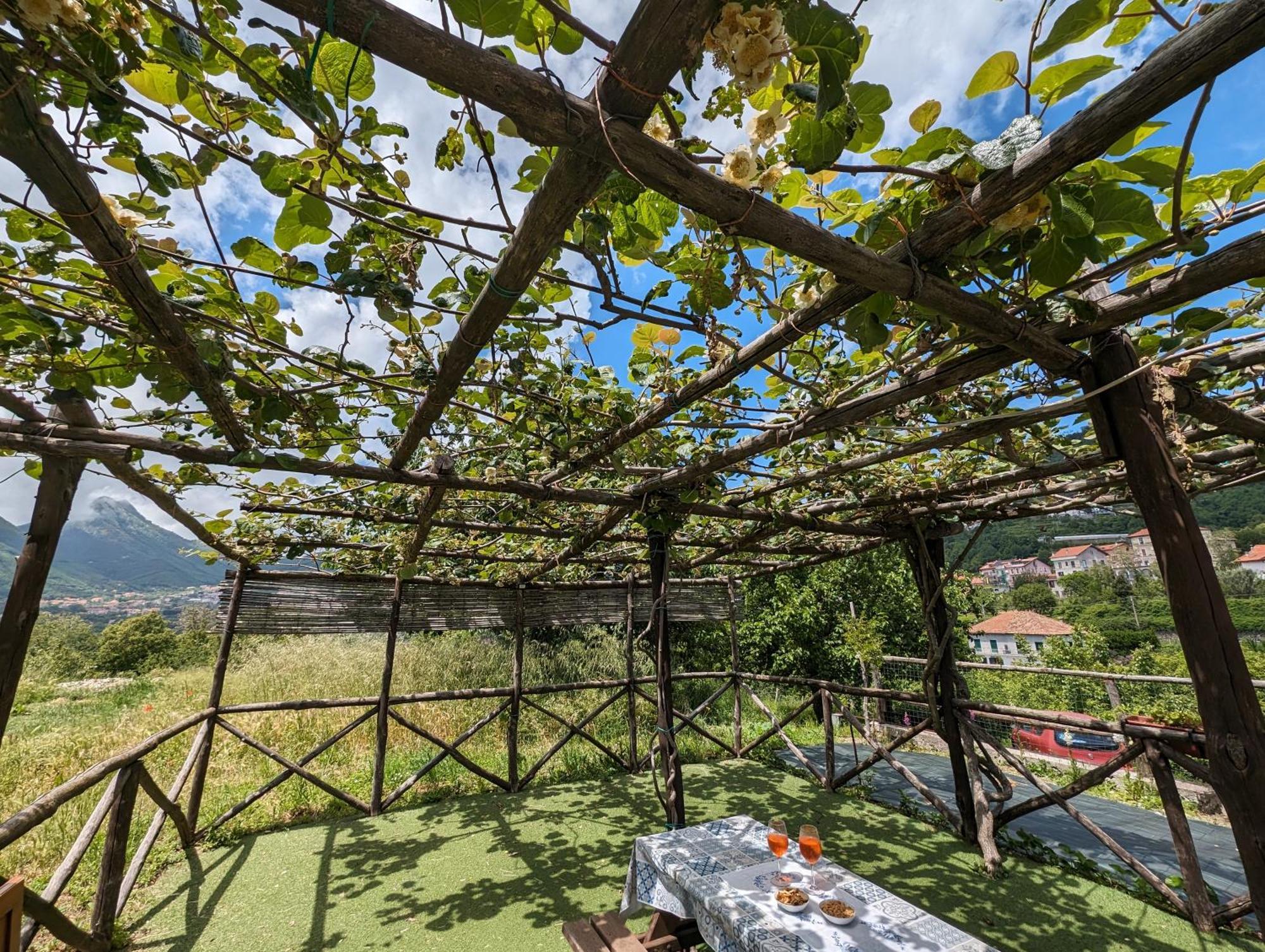 Louis House Ad Agerola Per Amalfi Positano Pompeiヴィラ 部屋 写真